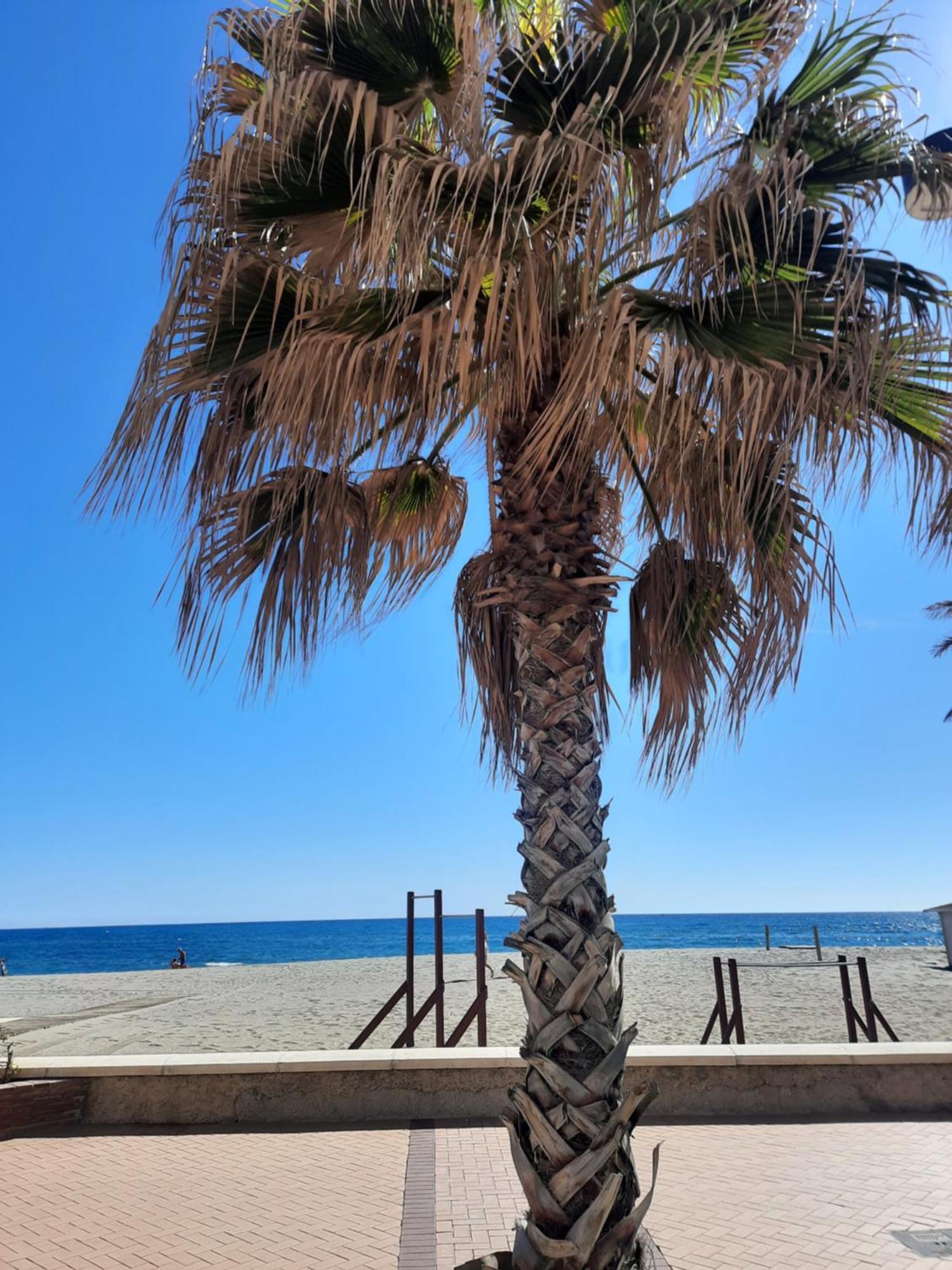 Fuengirola Apartment Carvajal Front Line Primera Linea Buitenkant foto